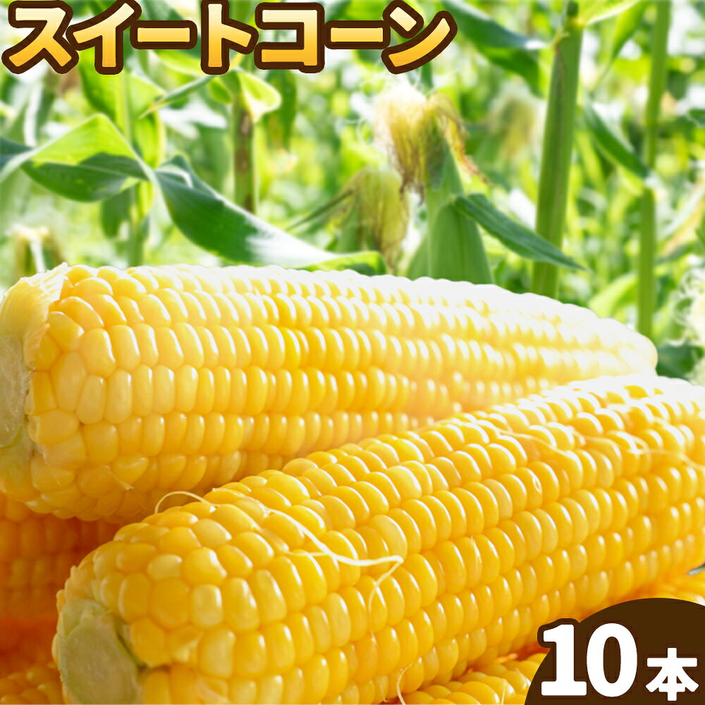 とうもろこし スイートコーン 10本 高橋商店《2026年5月中旬-6月下旬頃出荷》熊本県 苓北町 野菜 コーン 玉蜀黍 コーンバター 焼きとうもろこし コーンスープ