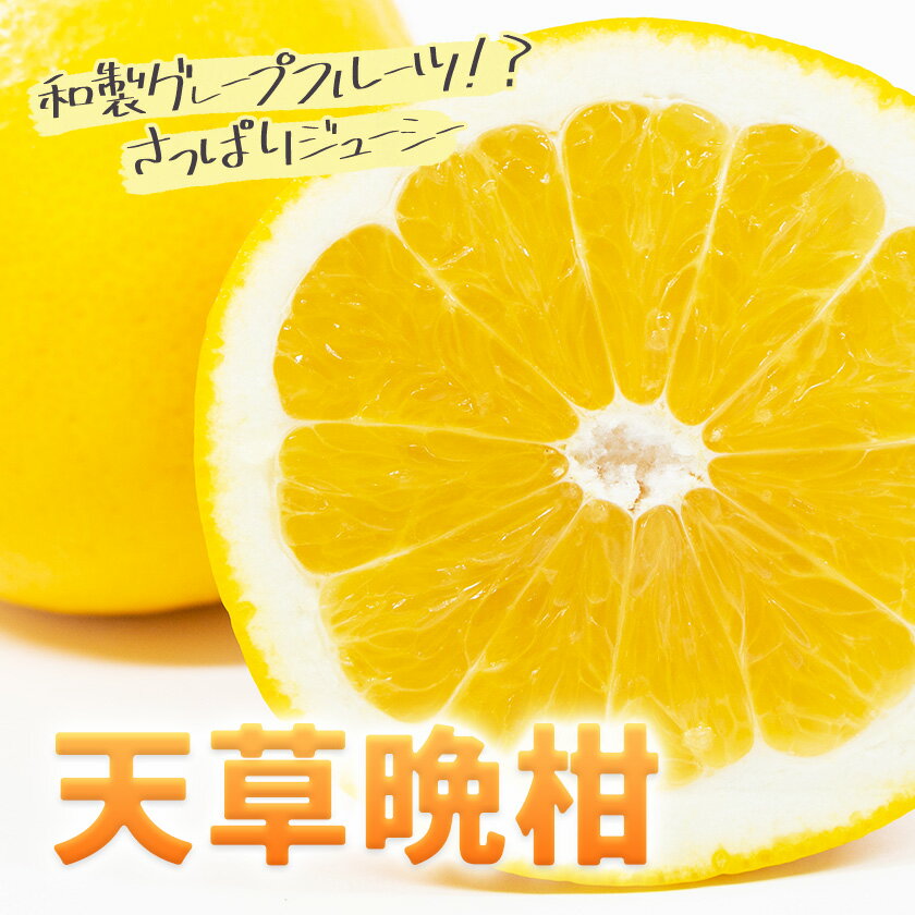【ふるさと納税】先行予約 柑橘 天草晩柑 選べる 約4kg 約10kg あまくさ晩柑 晩柑 ばんかん 天草 西海岸 苓北 都呂々 南国 潮風 国産 九州 熊本 果物 フルーツ 10キロ 送料無料《2026年3月上旬-5月下旬頃出荷予定》 サムネイル3