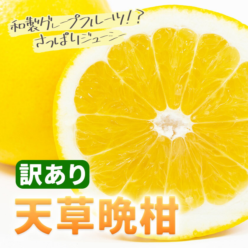 【ふるさと納税】先行予約 訳あり ご家庭用 柑橘 天草晩柑 選べる 約4kg 約10kg あまくさ晩柑 晩柑 ばんかん 天草 西海岸 苓北 都呂々 南国 潮風 国産 九州 熊本 果物 フルーツ 4キロ 10キロ 送料無料 都呂々みかん生産者グループ《2026年3月上旬-5月下旬頃出荷》 サムネイル3