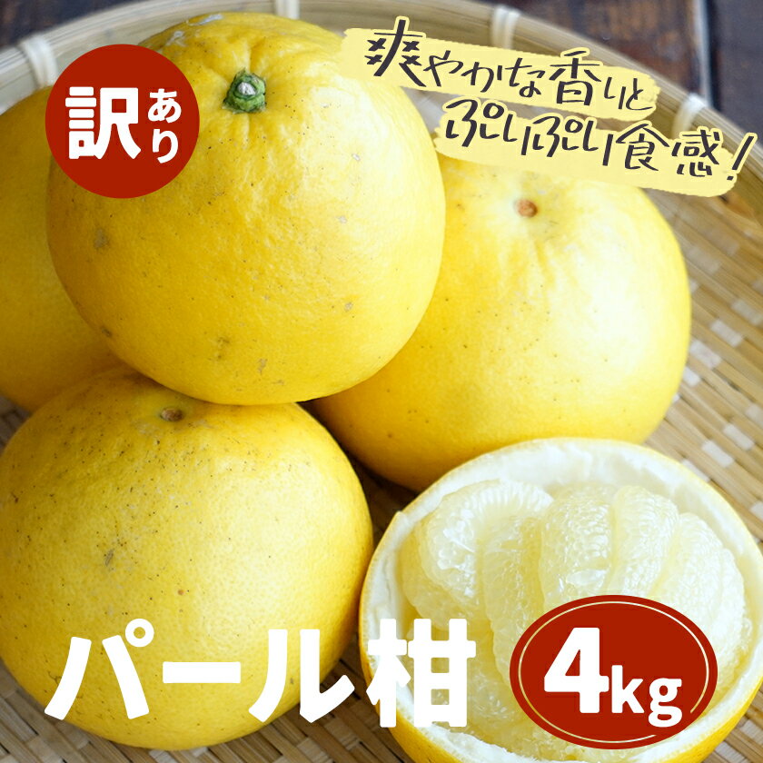 【ふるさと納税】訳あり パール柑 約4kg 都呂々みかん生産者グループ《3月上旬-4月中旬頃出荷予定》熊本県 苓北町 みかん 果物 フルーツ サムネイル2