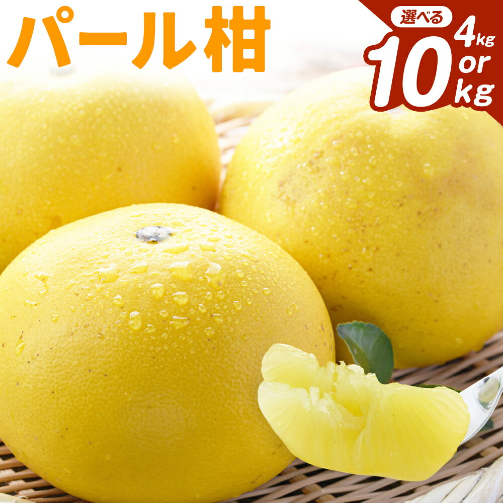 先行予約 パール柑 選べる 約4kg 約10kg 都呂々みかん生産者グループ《2026年3月上旬-4月中旬頃出荷予定》熊本県 苓北町 みかん 果物 フルーツ