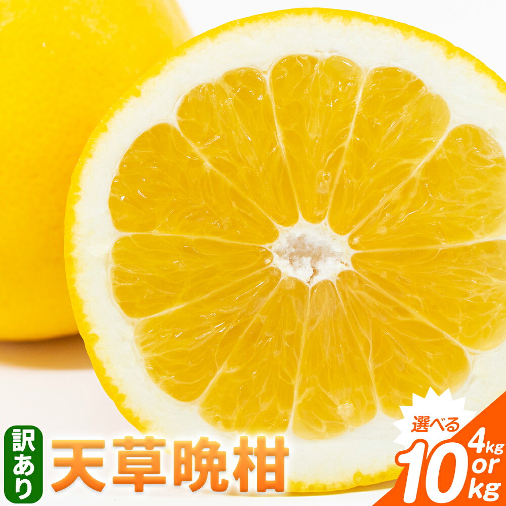 先行予約 訳あり ご家庭用 柑橘 天草晩柑 選べる 約4kg 約10kg あまくさ晩柑 晩柑 ばんかん 天草 西海岸 苓北 都呂々 南国 潮風 国産 九州 熊本 果物 フルーツ 4キロ 10キロ 送料無料 都呂々みかん生産者グループ《2026年3月上旬-5月下旬頃出荷》