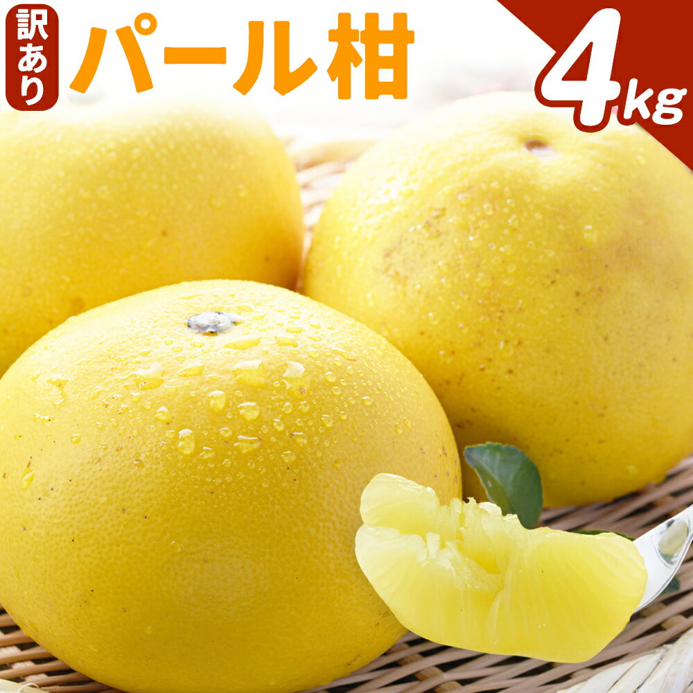訳あり パール柑 約4kg 都呂々みかん生産者グループ《3月上旬-4月中旬頃出荷予定》熊本県 苓北町 みかん 果物 フルーツ