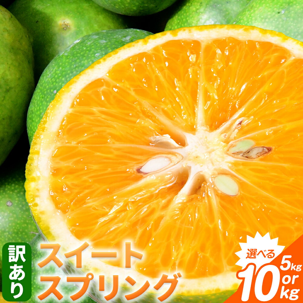 先行予約 訳あり ご家庭用 スイートスプリング 約5kg 約10kg 　柑橘 かんきつ 果物 フルーツ 品種 生産者直送 産地直送 南国 潮風 天草 西海岸 苓北 都呂々 国産 九州 熊本県 5キロ 10キロ 送料無料《12月上旬-1月下旬頃出荷》都呂々みかん生産者グループ