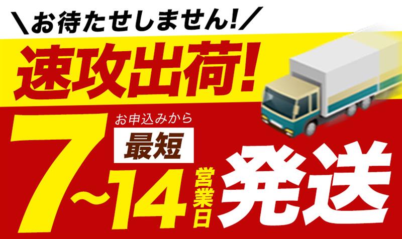 【ふるさと納税】令和7年産 無洗米 も選べる こしひかり 5kg 10kg 20kg 定期便 3ヶ月 6ヶ月 12ヶ月 《出荷時期をお選びください》熊本県産 ふるさと納税 無洗米 白米 精米 ひの 米 こめ ふるさとのうぜい コシヒカリ コメ お米 おこめ - 画像3