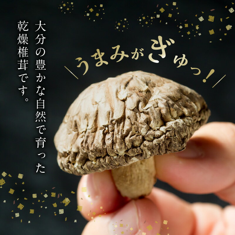 【ふるさと納税】大分産乾しいたけ 椎茸 しいたけ 乾椎茸 どんこ シイタケ 大分産 大分県 乾燥椎茸 干し椎茸 国産 特産品 お土産 大分名物 出汁 料理 天然もの 健康施行 肉厚の食感 芳醇な香り きのこ 旨味 食品 煮物 天ぷら 炊き込みご飯 湯豆腐 肉詰め F07015 サムネイル3