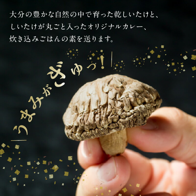 【ふるさと納税】大分産乾しいたけと豊後きのこカレーと豊後きのこめし 詰め合わせ 大分名物 特産品 キノコ どんこ こうこ シイタケ 加工品 レトルトカレー レトルト食品 かしわ飯 炊き込みご飯 ごはんの素 肉詰め おにぎり ギフト おうち時間 セット 常温 F07027 - 画像2