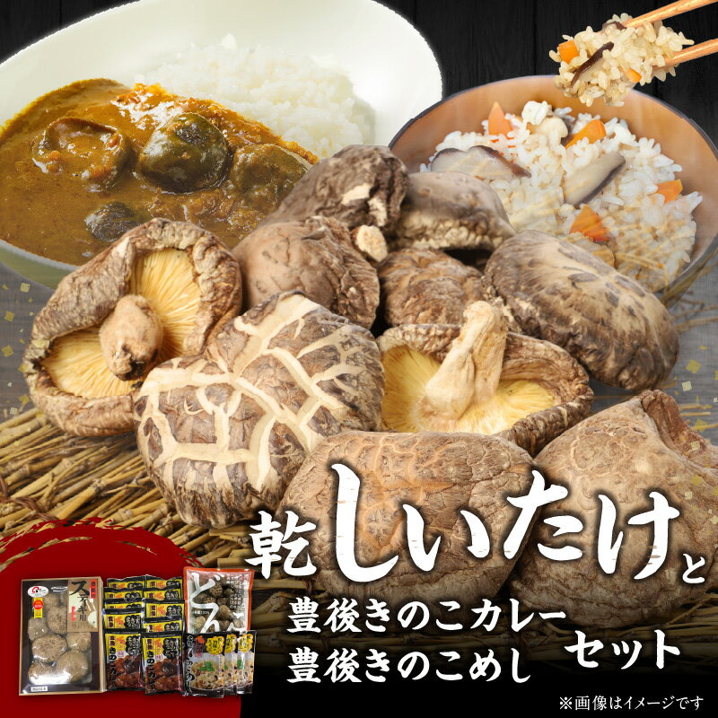大分産乾しいたけと豊後きのこカレーと豊後きのこめし 詰め合わせ 大分名物 特産品 キノコ どんこ こうこ シイタケ 加工品 レトルトカレー レトルト食品 かしわ飯 炊き込みご飯 ごはんの素 肉詰め おにぎり ギフト おうち時間 セット 常温 F07027
