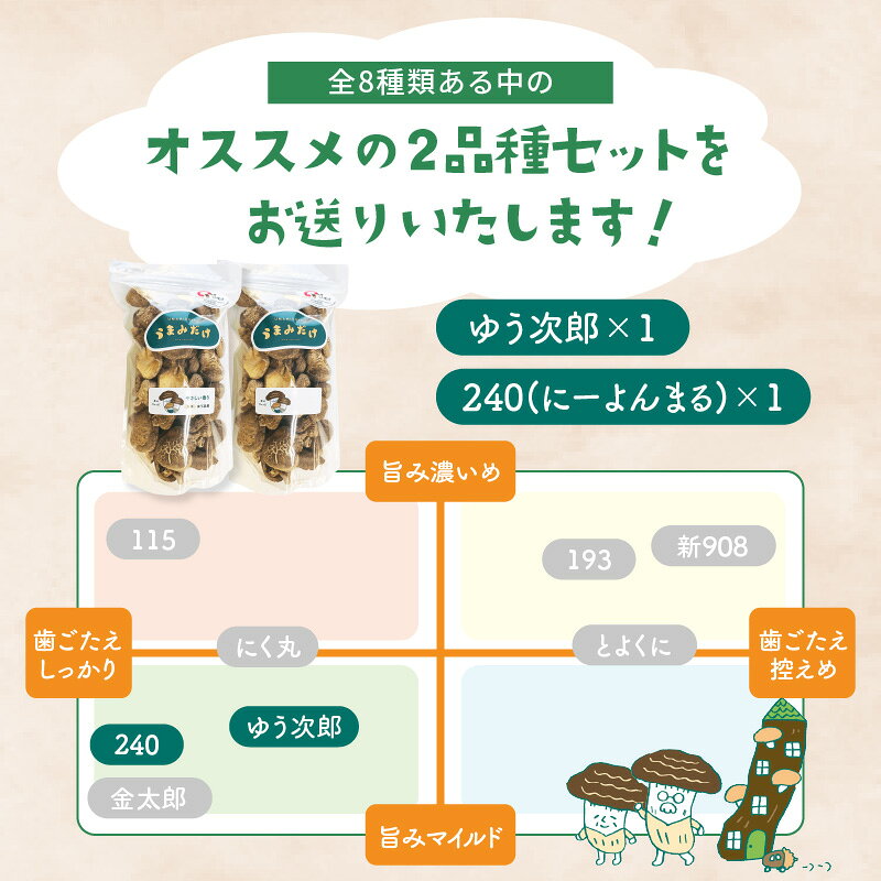 【ふるさと納税】大分産乾しいたけ（うまみだけ） 80グラム×2種 干ししいたけ 椎茸 干し椎茸 乾し椎茸 新ブランド うまみだけ 食べ比べ 原木栽培 肉厚 濃厚な旨味 歯ごたえ ゆう次郎 240 にーよんまる 料理 出汁 中華 カレー アヒージョ プリプリ食感 F07037 - 画像3