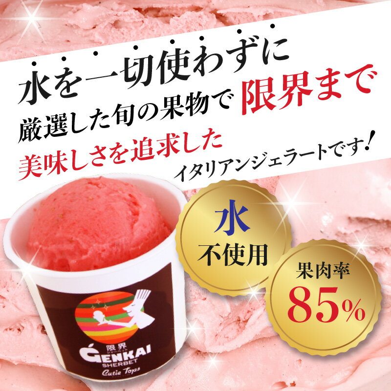 【ふるさと納税】〈果肉率85％！水を一切使用しない〉限界シャーベット アイス【選べる個数】6個〜 季節の果物の限界シャーベット 和三盆 アイスミルク ジェラート ストロベリー ミルク 詰め合わせ 果物 デザート スイーツ お取り寄せ セット 母の日 ギフト 旬 フルーツ - 画像2