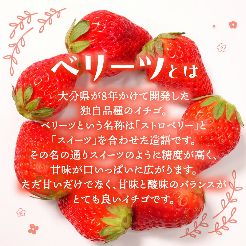 【ふるさと納税】【先行予約※2026年2月下旬より発送開始】大分県 ブランド いちご ベリーツ 平大玉 約280g×2パック 苺 イチゴ 大分県産 ストロベリー 果物 フルーツ スイーツ おやつ 新品種 贈り物 贈答 ギフト 化粧箱入り オリジナル品種 2パック お取り寄せ C07007 サムネイル3