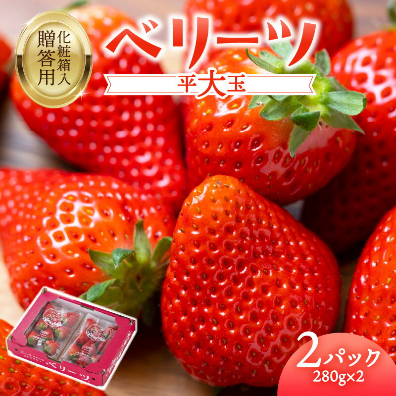 【先行予約※2026年2月下旬より発送開始】大分県 ブランド いちご ベリーツ 平大玉 約280g×2パック 苺 イチゴ 大分県産 ストロベリー 果物 フルーツ スイーツ おやつ 新品種 贈り物 贈答 ギフト 化粧箱入り オリジナル品種 2パック お取り寄せ C07007