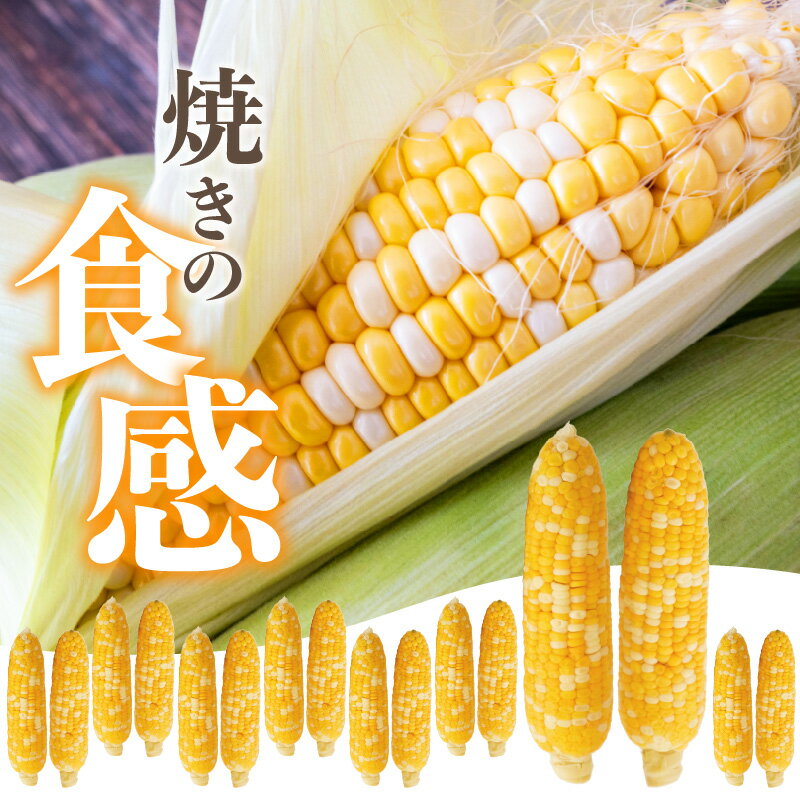 【ふるさと納税】焼きの食感 こげめの無い焼きとうもろこし 焼き とうもろこし コーン もろこし 焼きもろこし おやつ 甘い 冷凍 お取り寄せとうきび 高糖度 バイカラーコーン 香ばしい 小分け 自然解凍 真空パック 電子レンジ コーンバター スープ 天ぷら F08001 - 画像2