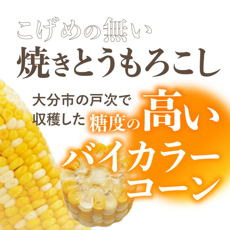 【ふるさと納税】焼きの食感 こげめの無い焼きとうもろこし 焼き とうもろこし コーン もろこし 焼きもろこし おやつ 甘い 冷凍 お取り寄せとうきび 高糖度 バイカラーコーン 香ばしい 小分け 自然解凍 真空パック 電子レンジ コーンバター スープ 天ぷら F08001 - 画像3