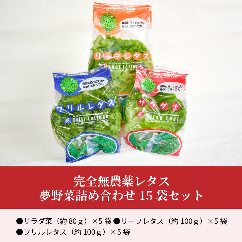 【ふるさと納税】完全無農薬レタス 夢野菜詰め合わせ15袋セット 国産 大分産 サラダ菜 リーフレタス フリルレタス 水耕栽培 安心 安全 洗浄済み 大量 まとめ買い 食物繊維 サンドウィッチ 寿司 新鮮野菜 洗わず食べられる野菜 健康 サラダ 農薬不使用 安心 九州産 F01003 - 画像2