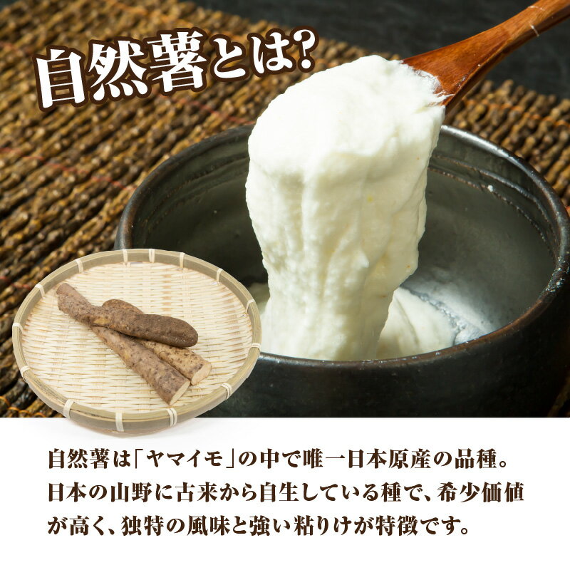 【ふるさと納税】こだわり自然薯 【選べる内容量】約1.1kg〜 やまいも 山芋 ねばり 風味 とろろ じねんじょ 自然薯 とろろご飯 料理 自然 芋 長芋 大和芋 健康 ジネンジョ - 画像2