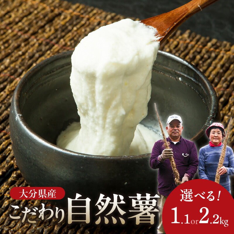 こだわり自然薯 【選べる内容量】約1.1kg〜 やまいも 山芋 ねばり 風味 とろろ じねんじょ 自然薯 とろろご飯 料理 自然 芋 長芋 大和芋 健康 ジネンジョ