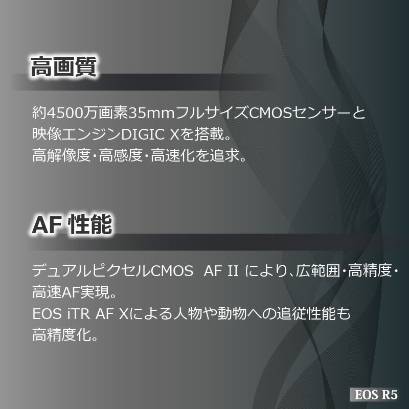 【ふるさと納税】キヤノン ミラーレス カメラ EOS R5 家電 写真 canon キャノン 正規品 35mm フルサイズ 約4500万画素 CMOSセンサー搭載 高画質 ミラーレス一眼 一眼 ノンレフ ノンレフレックス RFマウント バッテリー 手ぶれ補正 高速連続撮影 動画 撮影 送料無料 R14141 サムネイル3
