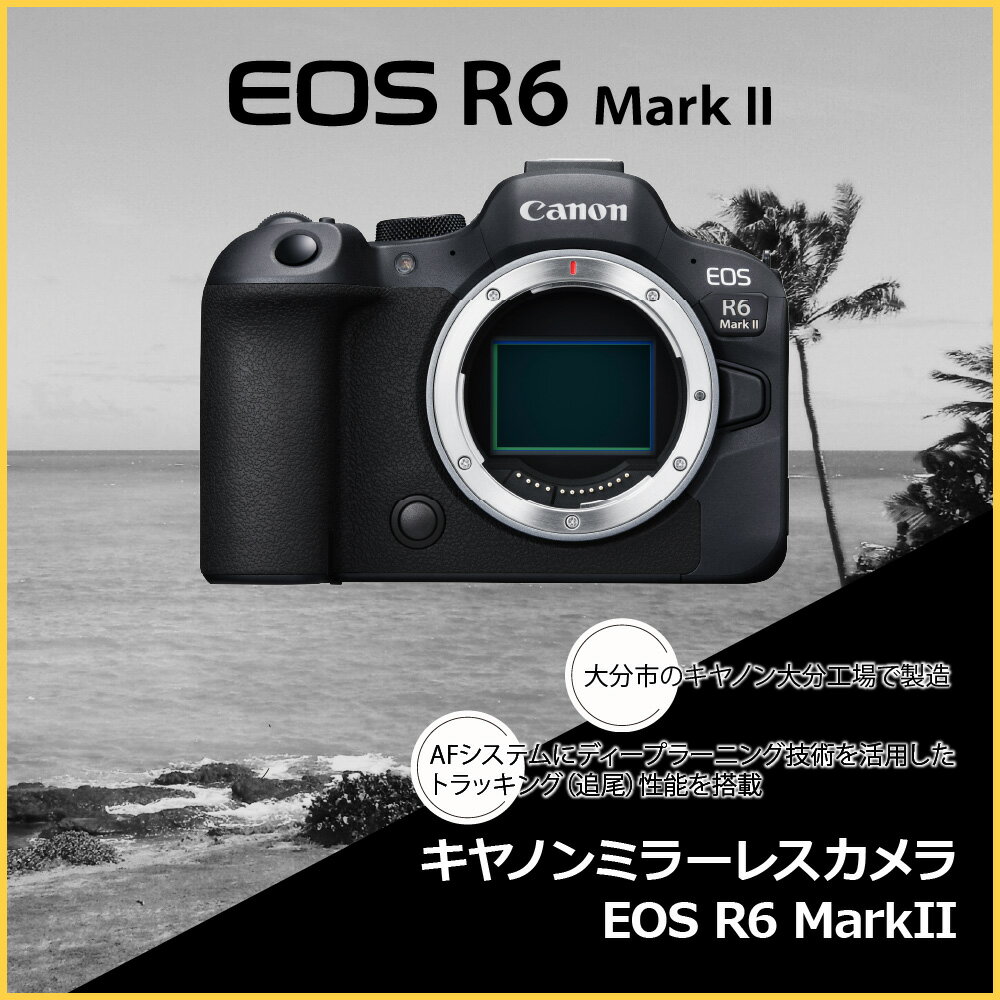 【ふるさと納税】キヤノン ミラーレスカメラ EOS R6 Mark II 家電 写真 動画 正規品 トラッキング ミラーレス一眼 Canon キャノン カメラ ミラーレス 撮影 2420万画素 記念撮影 アウトドア 運動会 高速連写 高画質 高密度 瞳検出 一眼カメラ 思い出 写真撮影 R14150 サムネイル2