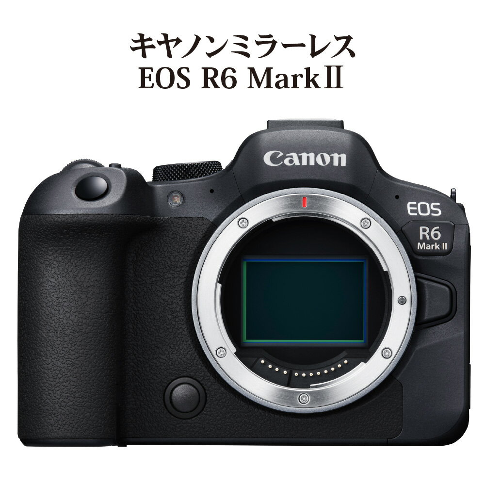キヤノン ミラーレスカメラ EOS R6 Mark II 家電 写真 動画 正規品 トラッキング ミラーレス一眼 Canon キャノン カメラ ミラーレス 撮影 2420万画素 記念撮影 アウトドア 運動会 高速連写 高画質 高密度 瞳検出 一眼カメラ 思い出 写真撮影 R14150