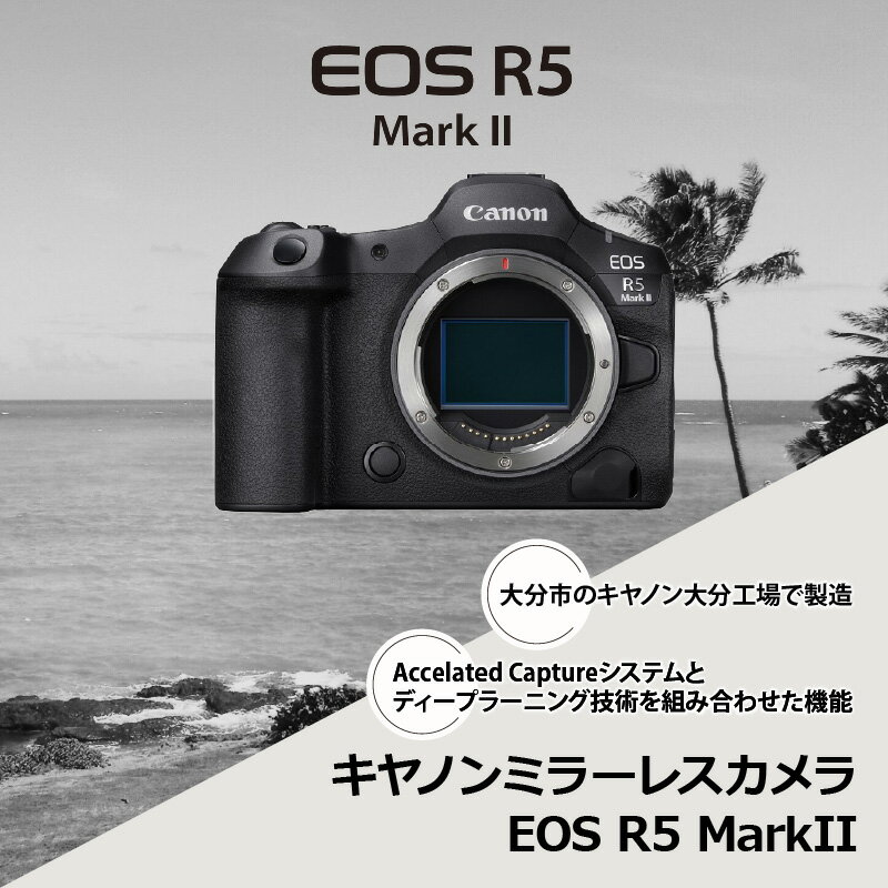 【ふるさと納税】ミラーレスカメラ EOS R5 Mark2・ボディー 写真 動画 ミラーレス Canon キヤノン カメラ 撮影 約4500万画素 記念撮影 旅行 アウトドア 運動会 高速 高画質 高感度 高精密 AF性能 低ノイズ 静止画 手ぶれ補正 R16001 サムネイル2