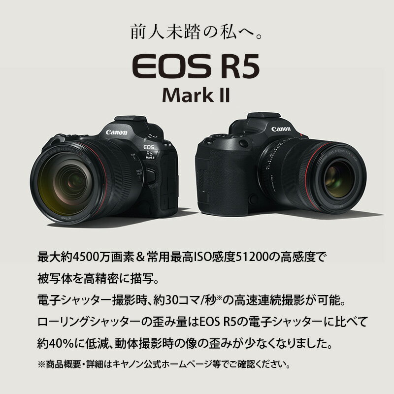 【ふるさと納税】ミラーレスカメラ EOS R5 Mark2・RF24-105 L IS USM レンズキット レンズ装備済 写真 動画 ミラーレス Canon キヤノン カメラ 撮影 約4500万画素 記念撮影 旅行 アウトドア 運動会 高速 高画質 高感度 高精密 AF性能 低ノイズ 静止画 手ぶれ補正 R16002 サムネイル3