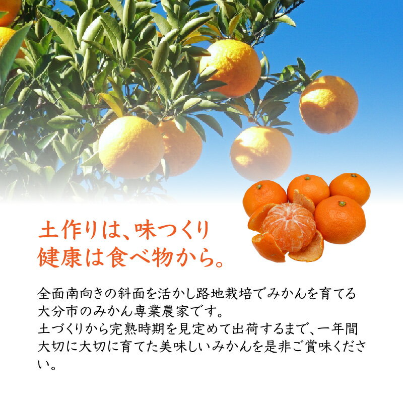 【ふるさと納税】森崎農園のこだわりみかん 約5kg みかん ミカン 蜜柑 デコポン おおいた早生 不知火 でこぽん 早生 極早生 大分 期間限定 果物 フルーツ デザート おやつ 柑橘 先行予約 送料無料 オレンジ 完熟 C09023 サムネイル2