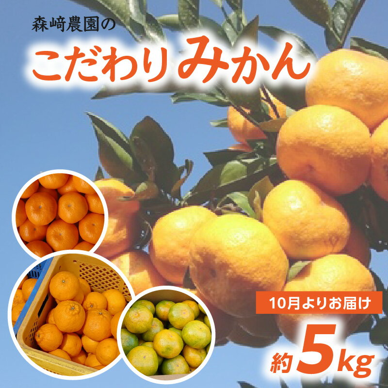 森崎農園のこだわりみかん 約5kg みかん ミカン 蜜柑 デコポン おおいた早生 不知火 でこぽん 早生 極早生 大分 期間限定 果物 フルーツ デザート おやつ 柑橘 先行予約 送料無料 オレンジ 完熟 C09023