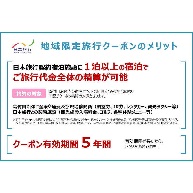 【ふるさと納税】大分県大分市 日本旅行 地域限定旅行クーポン 【90,000円分】 航空券 JR券 レンタカー 観光タクシー 施設 ゴルフ 体験 国内 観光地 温泉 ホテル 旅館 宿泊券 クーポン券 旅行券 宿泊予約 国内旅行 旅行チケット トラベル 5年間有効 O02051 サムネイル2