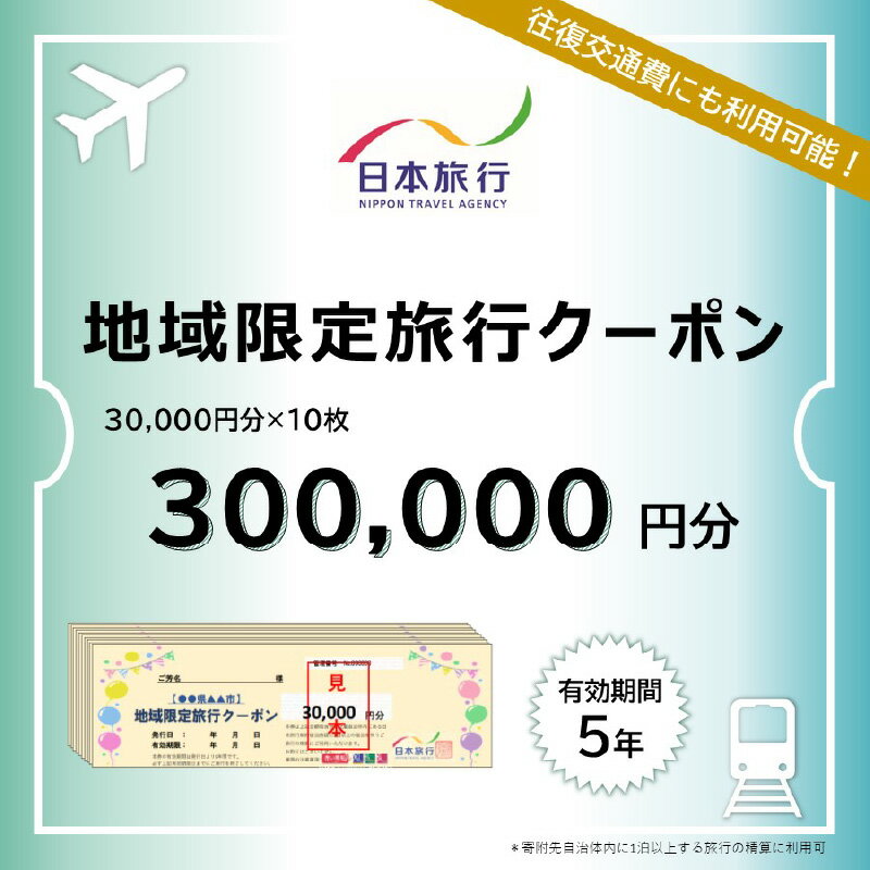 大分県大分市 日本旅行 地域限定旅行クーポン 【300,000円分】 航空券 JR券 レンタカー 観光タクシー 施設 ゴルフ 体験 国内 観光地 温泉 ホテル 旅館 宿泊券 クーポン券 旅行券 宿泊予約 国内旅行 旅行チケット トラベル 5年間有効 O02053