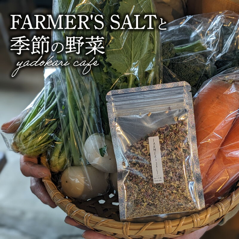 FARMER'S SALT＋季節の野菜6種類　スパイス 調味料 岩塩 塩 ソルト 調味料 トッピング ベジタブル 農薬不使用 無農薬野菜 粉末 にんにく ブラックペッパー 料理 岩塩 調味料 K10028