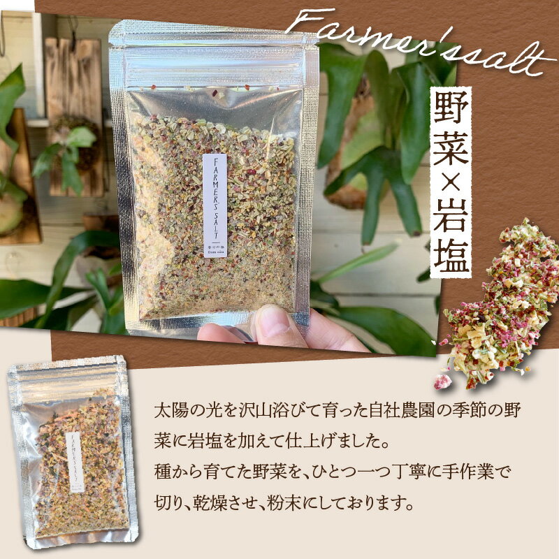 【ふるさと納税】FARMER'S SALT＋季節の野菜6種類　スパイス 調味料 岩塩 塩 ソルト 調味料 トッピング ベジタブル 農薬不使用 無農薬野菜 粉末 にんにく ブラックペッパー 料理 岩塩 調味料 K10028 - 画像2