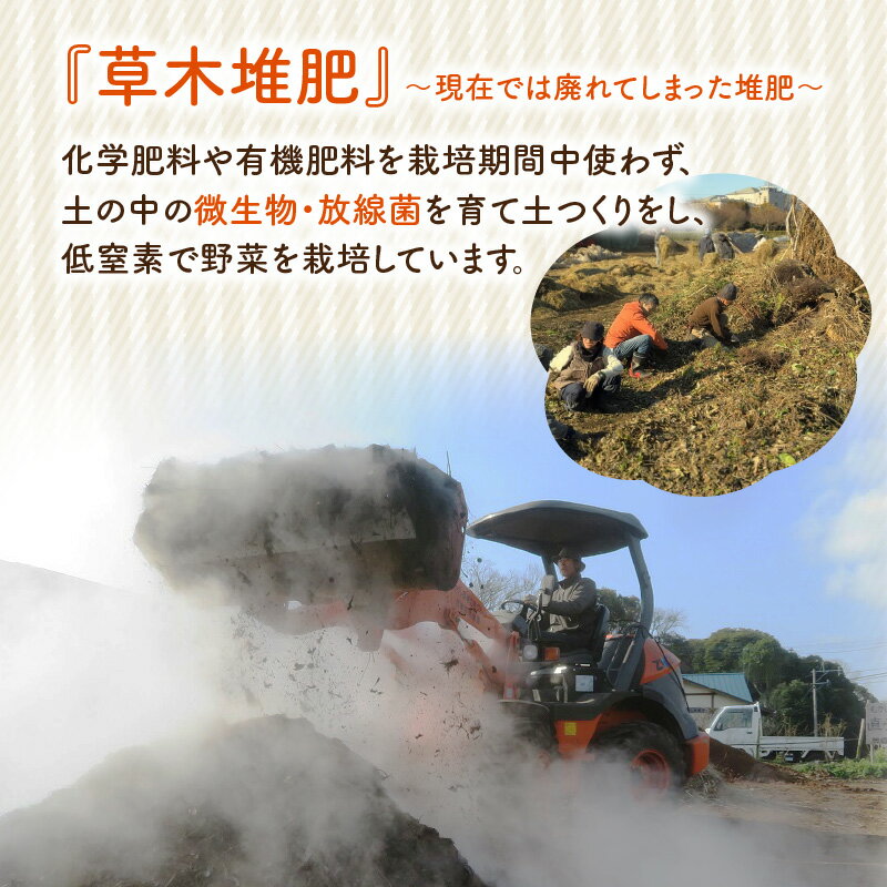 【ふるさと納税】むかし野菜の邑 大分市産直 自然栽培の野菜セット 野菜 にんじん ネギ トマト ピーマン キャベツ きゃべつ なす ナス 大根 旬菜 旬野菜 自然栽培米 米 ヒノヒカリ お米 小麦粉 もち麦 きな粉 瓜の粕漬け 小麦 大豆 自然循環農法 ごはん サラダ 旬 F01005 - 画像3