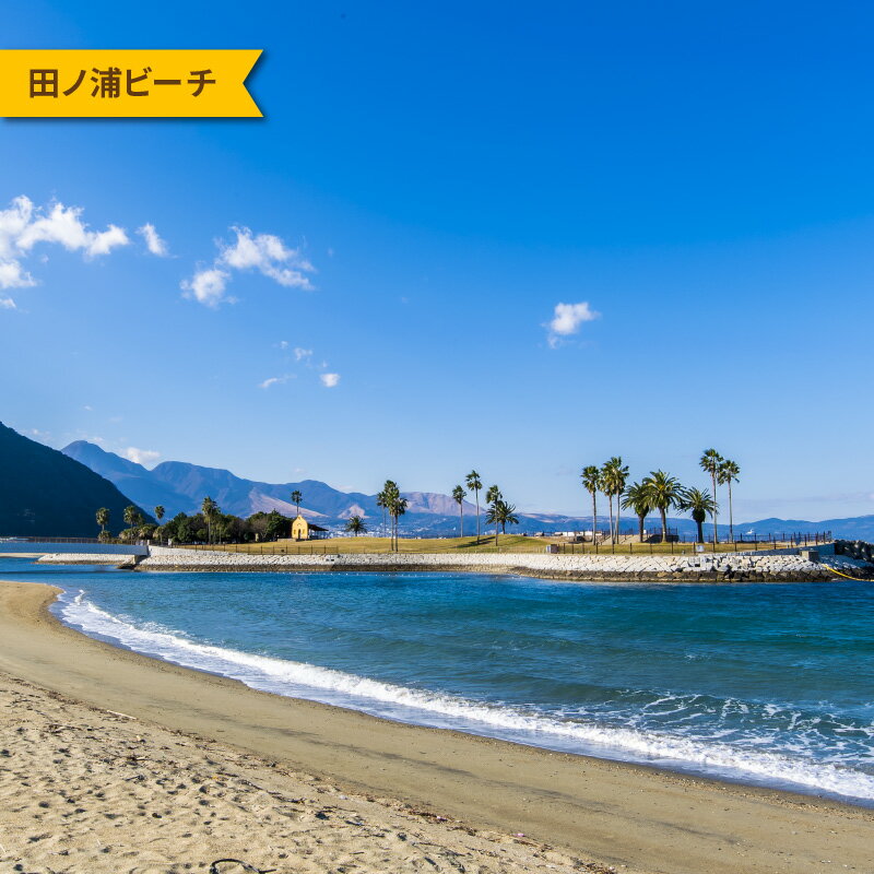 【ふるさと納税】大分県大分市の対象施設で使える楽天トラベルクーポン 寄付額100,000円 ホテル 旅館 宿泊予約 旅行 予約 宿泊 観光 温泉 国内 旅行クーポン 旅行券 楽天トラベルクーポン チケット ビジネス 出張 国内旅行 旅行チケット O02029 サムネイル3