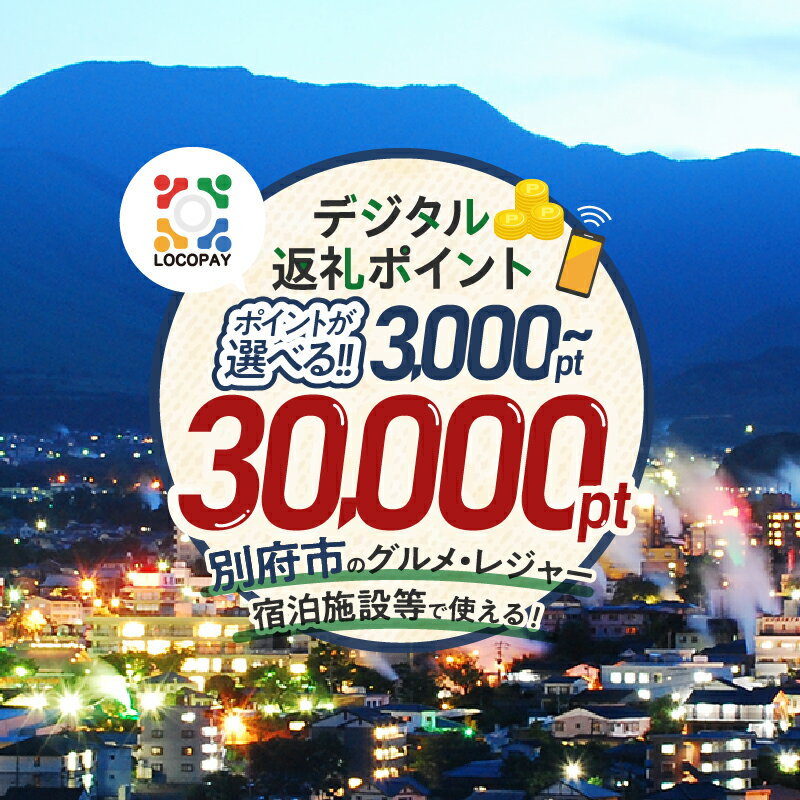≪選べる返礼品≫ LOCOPAY デジタル 返礼 ポイント レジャー アウトドア 体験 旅行 トラベル 宿泊施設 ホテル 観光 グルメ 飲食店 ディナー ランチ 焼肉 カフェ ゴルフ 温泉 おすすめ 大分県 別府市 送料無料 体験型 節約
