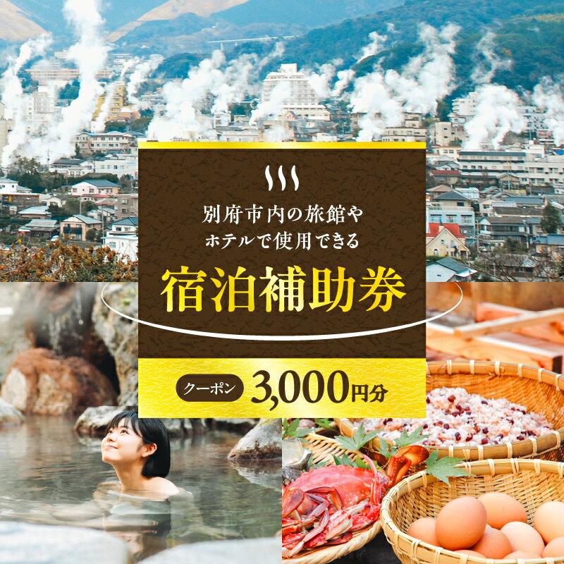 楽しい旅の思い出を！ 宿泊券 大分県 別府市 ホテル 旅館 温泉 【3,000円分】 旅行 観光 トラベル 宿泊補助券 チケット 宿泊 お泊り 別府温泉 別府観光 大分観光 地獄めぐり 地獄蒸し料理 旅 有効期限1年間 体験型 節約