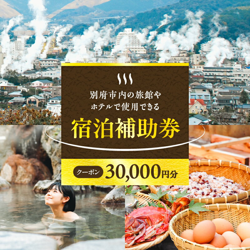 楽しい旅の思い出を！ 宿泊券 大分県 別府市 ホテル 旅館 温泉 【30,000円分】 10,000円分×3枚 旅行 観光 トラベル 宿泊補助券 チケット 宿泊 お泊り 別府温泉 別府観光 大分観光 地獄めぐり 地獄蒸し料理 旅 有効期限1年間 体験型 節約