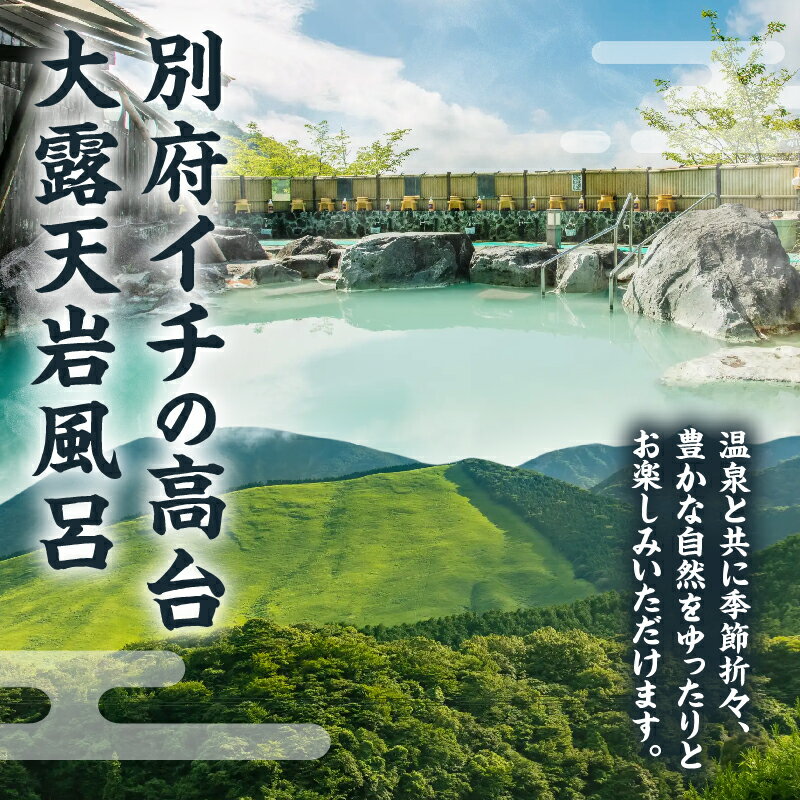 【ふるさと納税】温泉 露天風呂 岩風呂 入浴 施設 回数券 利用券 大人 5回券 チケット 絶景 大露天風呂 明礬大橋 鶴見岳 高崎山 良泉 効能 白濁 硫黄泉 アトピー性皮膚炎 尋常性乾癬 慢性湿疹 耐糖能異常 乳白色 健康 美肌 大分県 別府市 体験型 節約 送料無料 - 画像3