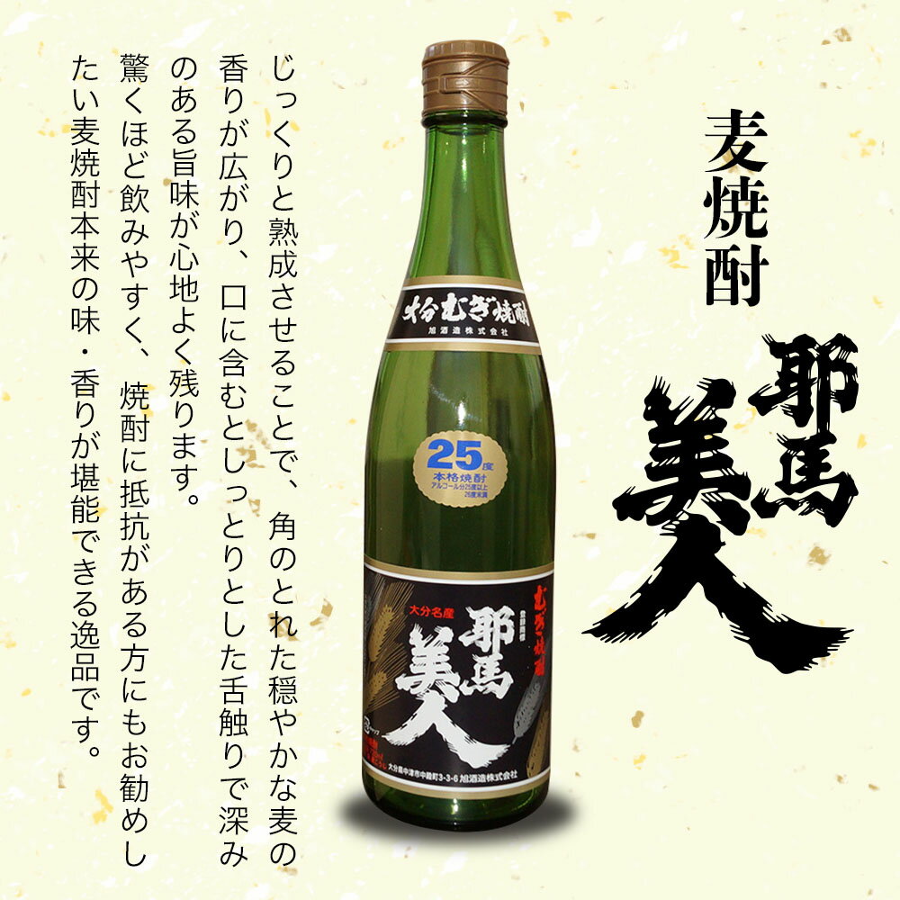 【ふるさと納税】麦焼酎 耶馬美人 25度 720ml×10本 | 大分県中津市の地酒 焼酎 酒 アルコール 大分県産 九州産 中津市 国産 送料無料 サムネイル2