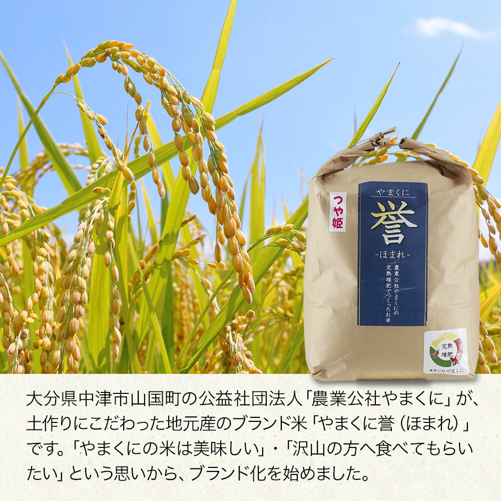 【ふるさと納税】【寄附使途限定】令和7年度産！九州米・食味コンクール最優秀賞受賞 大分県中津産やまくに誉 つや姫 選べる内容量 1.8kg ～ 10kg 発送回数 1回 ～ 12回 | お米 おこめ 精米 白米 5kg 5キロ 10kg 10キロ ご飯 九州産 国産米 定期便 大分県 中津市 - 画像3