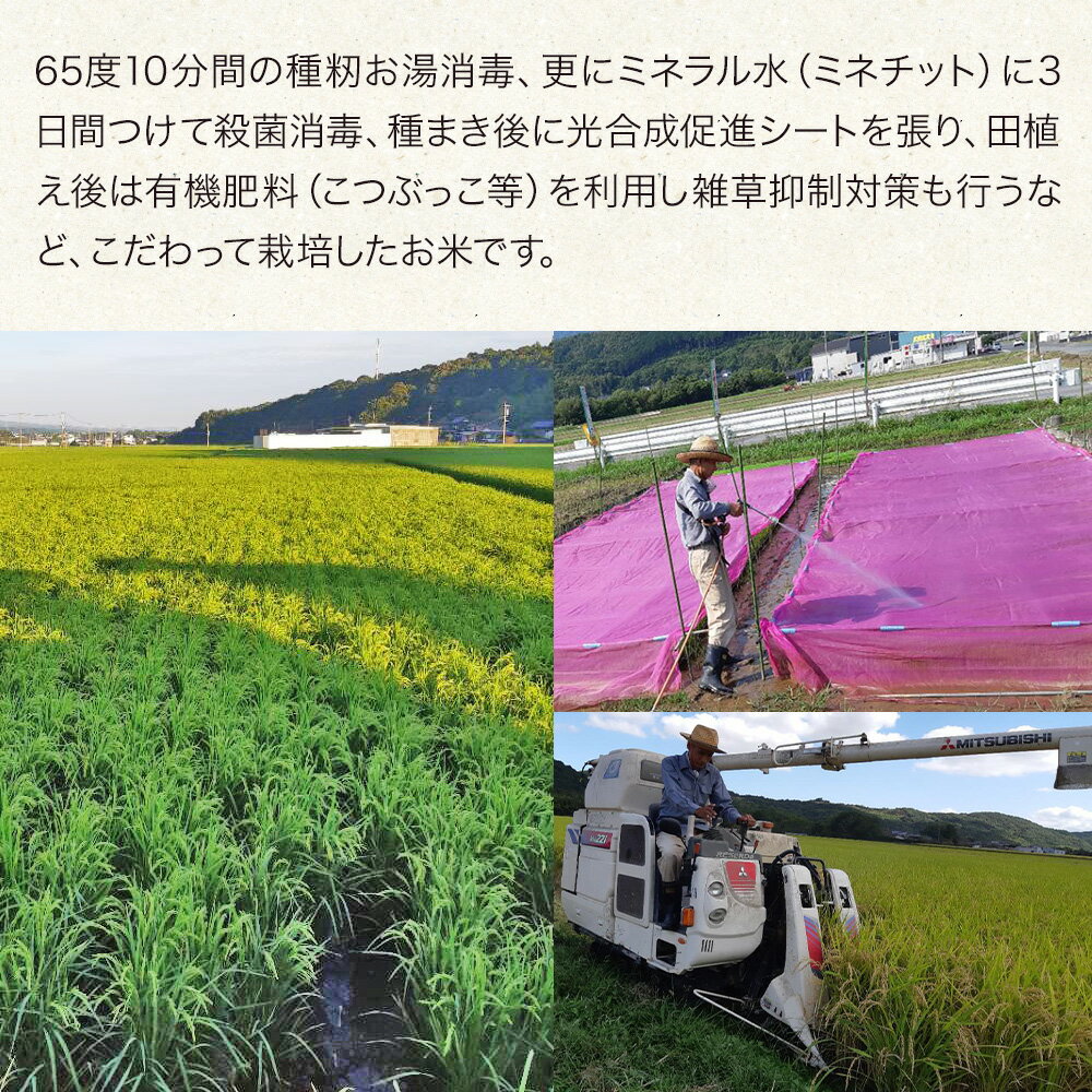 【ふるさと納税】 令和7年産 特別栽培米 なつほのか にこまる 5kg×1袋 | 大分県中津市三光産 栽培期間中 農薬不使用 精米 玄米 選べる 国産 お米 米 ご飯 白米 農家直送 宗像農園 大分県産 九州産 大分県 中津市 - 画像2
