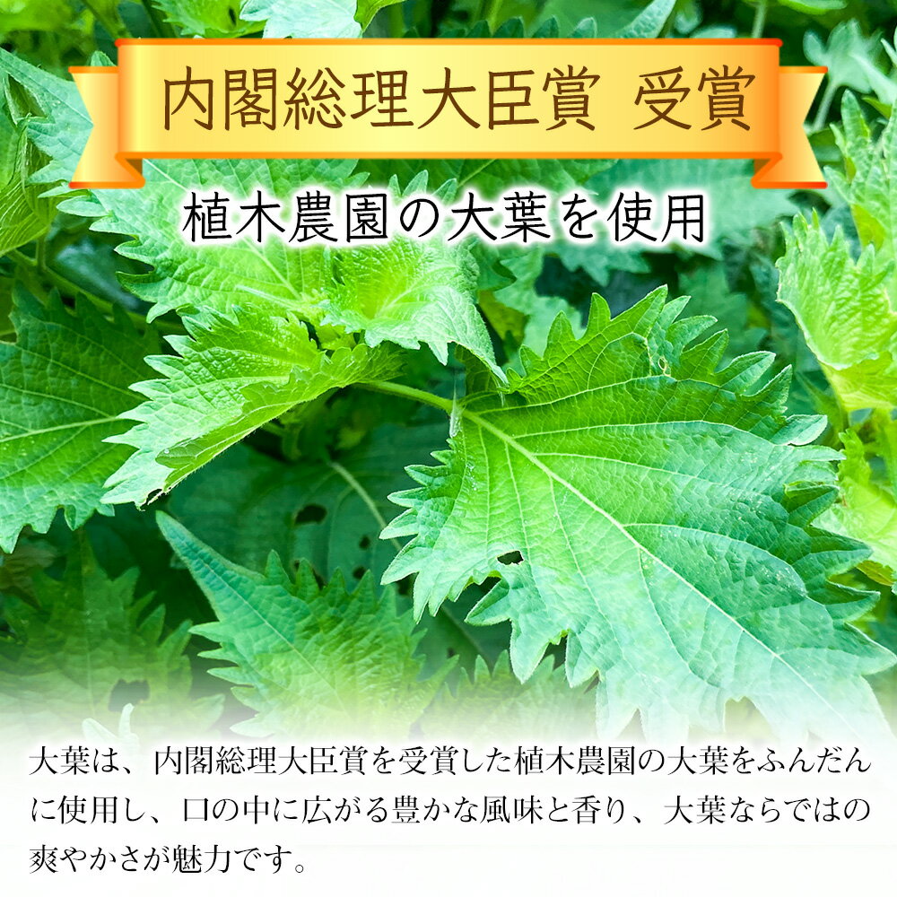 【ふるさと納税】大葉ソース ジェノベーゼ風 90g×3個セット | 田中醤油 植木農園 大葉使用 大葉 調味料 パスタソース スパゲッティ ピザソース ジェノベーゼソース ジェノベーゼ ソース バケット サラダ たれ タレ ドレッシング 大分県産 九州産 大分県 中津市 サムネイル3