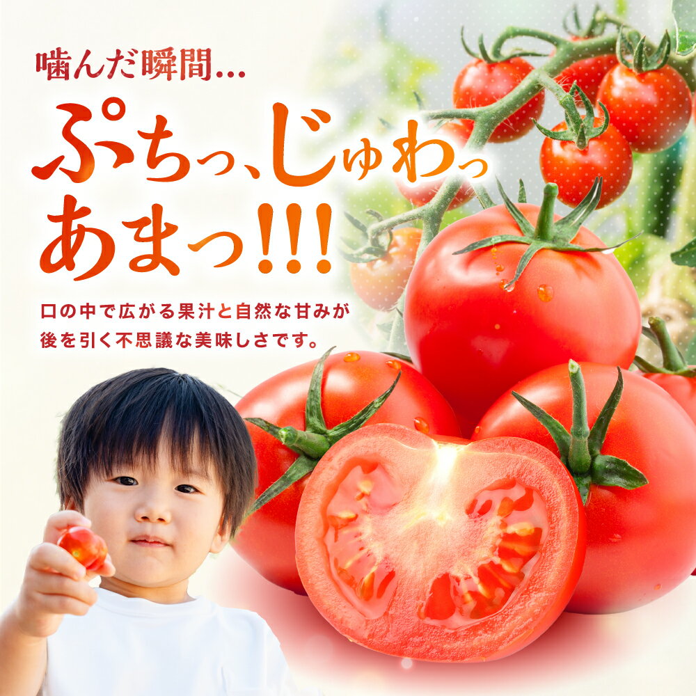 【ふるさと納税】【期間限定】フルーツトマト 「玄」 2kg 選べる 発送回数 1回 / 2回 / 3回 | フルティカ ミディトマト ミニトマト ぷちとまと プチトマト トマト 国産 野菜 やさい 定期 定期便 単品 大分県 中津市【※8月～10月は発送不可】 - 画像3