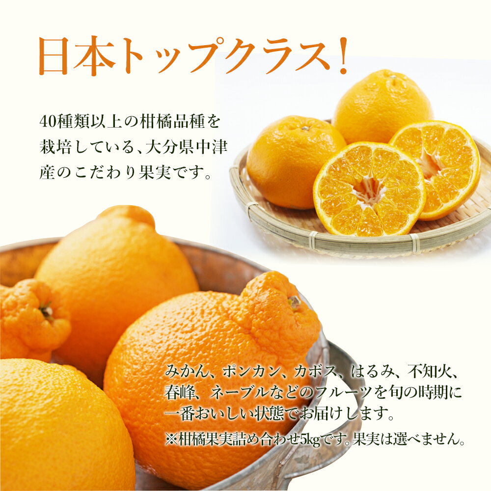 【ふるさと納税】【期間限定】おはら果樹園果実詰め合わせ 約5kg | フルーツ 果物 くだもの 果実 柑橘 柑橘類 セット 詰め合わせ ( みかん ポンカン はるみ 不知火 等) おはら果樹園 産地直送 大分県 中津市 送料無料【発送は2025年12月中旬～2026年3月中旬頃までの予定】 サムネイル2