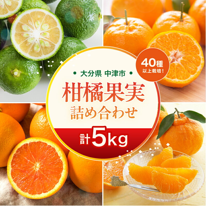 【期間限定】おはら果樹園果実詰め合わせ 約5kg | フルーツ 果物 くだもの 果実 柑橘 柑橘類 セット 詰め合わせ ( みかん ポンカン はるみ 不知火 等) おはら果樹園 産地直送 大分県 中津市 送料無料【発送は2025年12月中旬～2026年3月中旬頃までの予定】