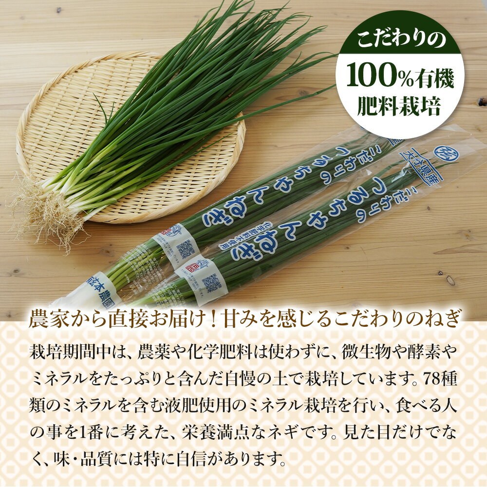 【ふるさと納税】 ネギしゃぶセット (つるちゃんねぎ・黄金の鍋つゆ・青柚子こしょう) | ネギしゃぶ セット 野菜 葱 ねぎ ネギ 調味料 鍋の素 手作り ゆずこしょう 柚子胡椒 薬味 鍋 しゃぶしゃぶ 大分県 中津市 送料無料 - 画像3