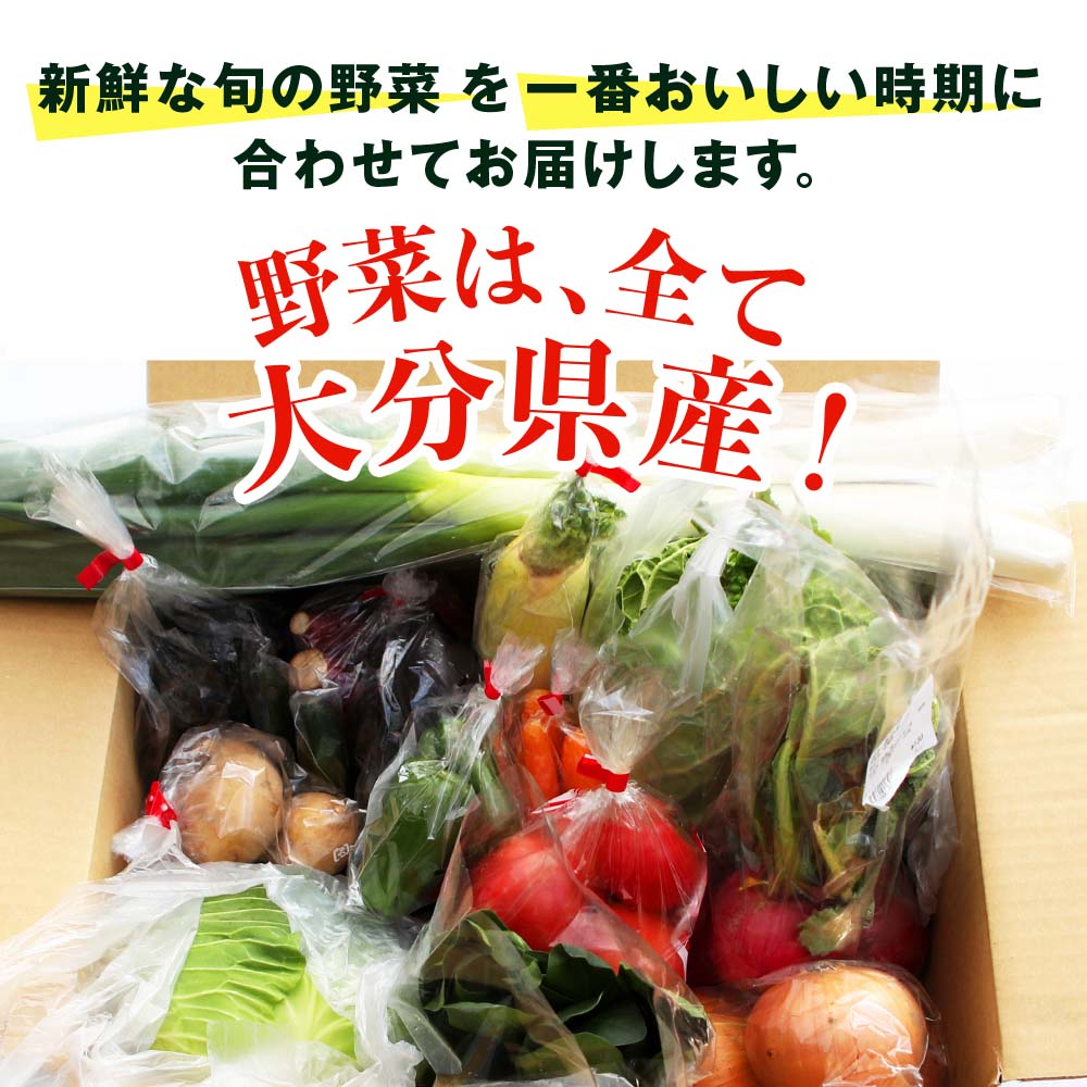 【ふるさと納税】【12ヶ月定期便】九州野菜セット 大分県産 春夏秋冬野菜セット10〜15品×12回 毎月1回 | JA直売所直送野菜 新鮮 産地直送 送料無料 - 画像2