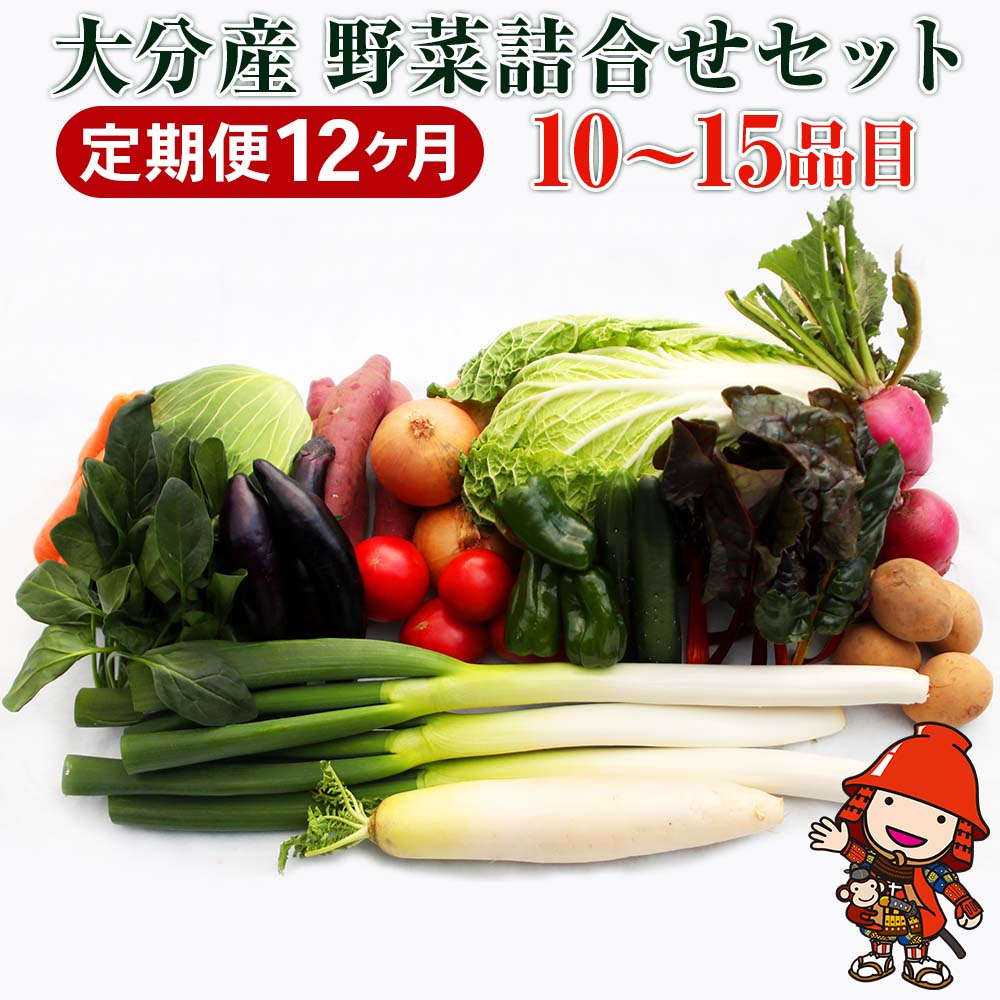 【12ヶ月定期便】九州野菜セット 大分県産 春夏秋冬野菜セット10〜15品×12回 毎月1回 | JA直売所直送野菜 新鮮 産地直送 送料無料