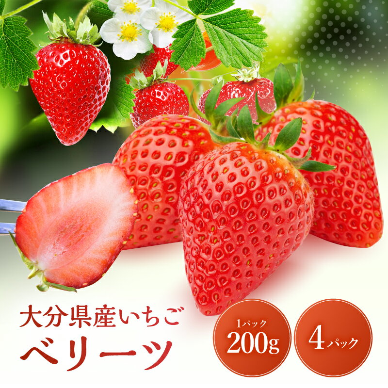 【先行予約・期間限定】大分県ブランド いちご ベリーツ 約 800g ( 200g×4パック ) | 苺 イチゴ いちご ベリー フルーツ 果物 くだもの 大分県産 産地直送 九州産 国産 大分県 中津市 送料無料【発送は2026年2月15日～2026年3月末】