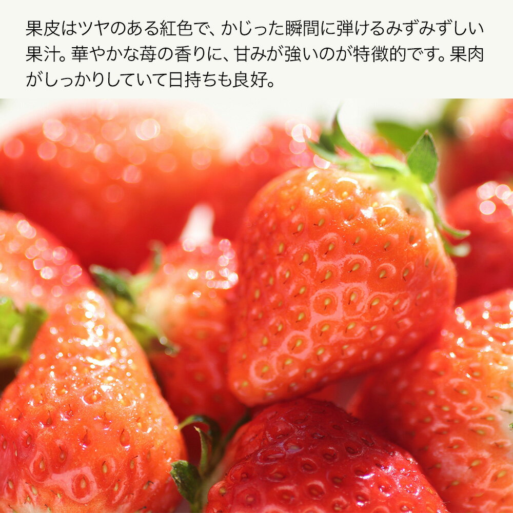 【ふるさと納税】【先行予約・期間限定】大分県産いちご さがほのか 約 800g ( 200g×4パック ) | 苺 イチゴ いちご ベリー フルーツ 果物 くだもの 九州産 大分県産 国産 産地直送 大分県 中津市 送料無料【発送は2026年2月15日～2026年3月末】 サムネイル2
